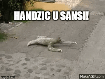 slika