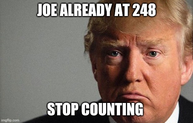 Something has to brighten up 2020 | JOE ALREADY AT 248; STOP COUNTING | image tagged in trump sad | made w/ Imgflip meme maker