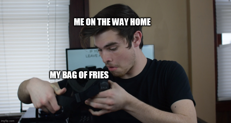hmm, yes, fries | ME ON THE WAY HOME; MY BAG OF FRIES | image tagged in dreadedbread peak | made w/ Imgflip meme maker