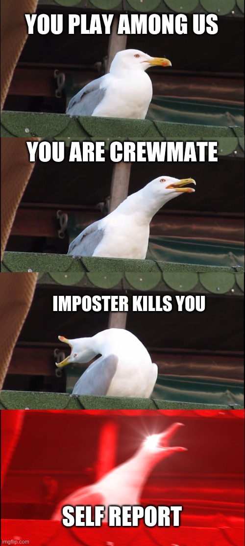 Inhaling Seagull | YOU PLAY AMONG US; YOU ARE CREWMATE; IMPOSTER KILLS YOU; SELF REPORT | image tagged in memes,inhaling seagull | made w/ Imgflip meme maker