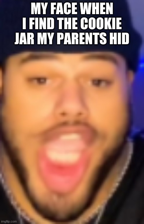 LOLOLOLOLOLOLOL | MY FACE WHEN I FIND THE COOKIE JAR MY PARENTS HID | image tagged in coochie man | made w/ Imgflip meme maker