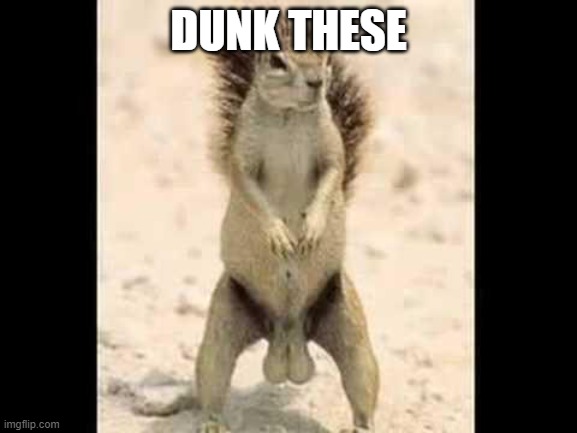 Squirrel nuts | DUNK THESE | image tagged in squirrel nuts | made w/ Imgflip meme maker