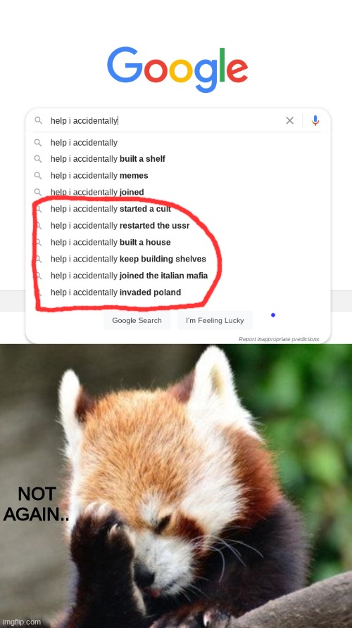NOT AGAIN.. | image tagged in help i accidentaly,red panda,facepalm,shelf | made w/ Imgflip meme maker
