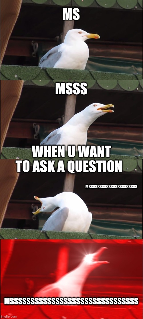 Inhaling Seagull Meme | MS; MSSS; WHEN U WANT TO ASK A QUESTION; MSSSSSSSSSSSSSSSSSSSSSS; MSSSSSSSSSSSSSSSSSSSSSSSSSSSSSSS | image tagged in memes,inhaling seagull | made w/ Imgflip meme maker