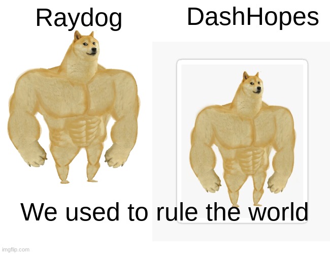 Lel | DashHopes; Raydog; We used to rule the world | image tagged in raydog,dashhopes,cooljrez007 | made w/ Imgflip meme maker