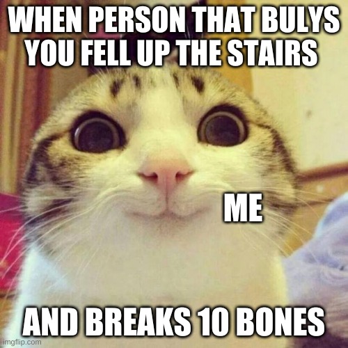 Smiling Cat Meme | WHEN PERSON THAT BULYS YOU FELL UP THE STAIRS; ME; AND BREAKS 10 BONES | image tagged in memes,smiling cat | made w/ Imgflip meme maker