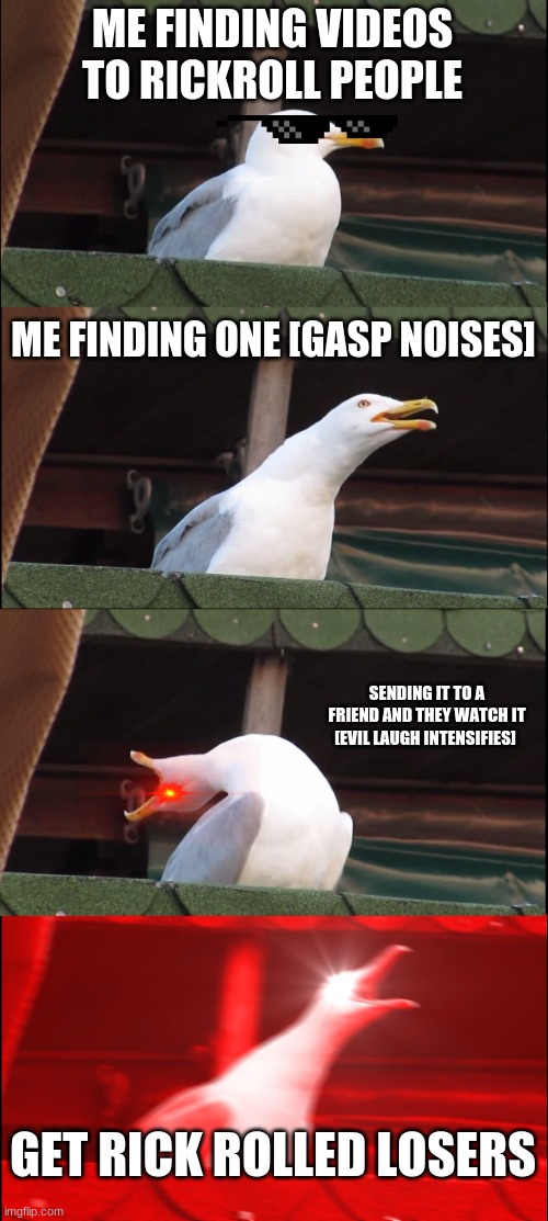 Inhaling Seagull | ME FINDING VIDEOS TO RICKROLL PEOPLE; ME FINDING ONE [GASP NOISES]; SENDING IT TO A FRIEND AND THEY WATCH IT [EVIL LAUGH INTENSIFIES]; GET RICK ROLLED LOSERS | image tagged in memes,inhaling seagull | made w/ Imgflip meme maker