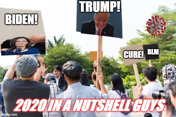 Election day lol | TRUMP! BIDEN! BLM; CURE! 2020 IN A NUTSHELL GUYS | image tagged in 2020 | made w/ Imgflip meme maker