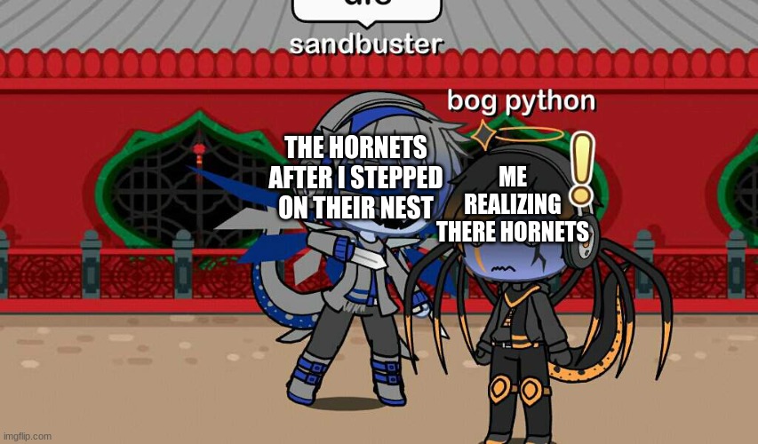 hornets | THE HORNETS AFTER I STEPPED ON THEIR NEST; ME REALIZING THERE HORNETS | image tagged in sandbuster stabs bog python | made w/ Imgflip meme maker