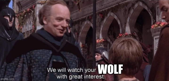 We will watch your career with great interest | WOLF | image tagged in we will watch your career with great interest | made w/ Imgflip meme maker