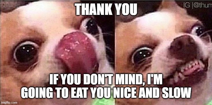 Hungry dog | THANK YOU IF YOU DON'T MIND, I'M GOING TO EAT YOU NICE AND SLOW | image tagged in hungry dog | made w/ Imgflip meme maker