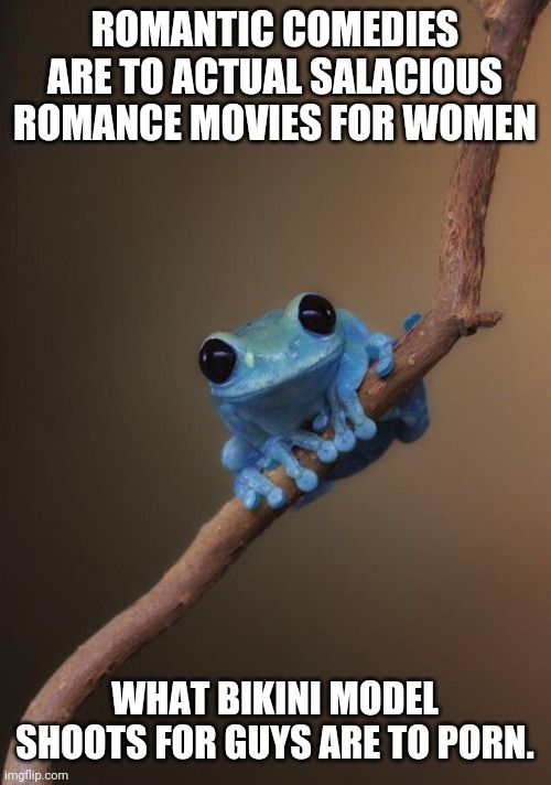 small fact frog | ROMANTIC COMEDIES ARE TO ACTUAL SALACIOUS ROMANCE MOVIES FOR WOMEN WHAT BIKINI MODEL SHOOTS FOR GUYS ARE TO PORN. | image tagged in small fact frog | made w/ Imgflip meme maker