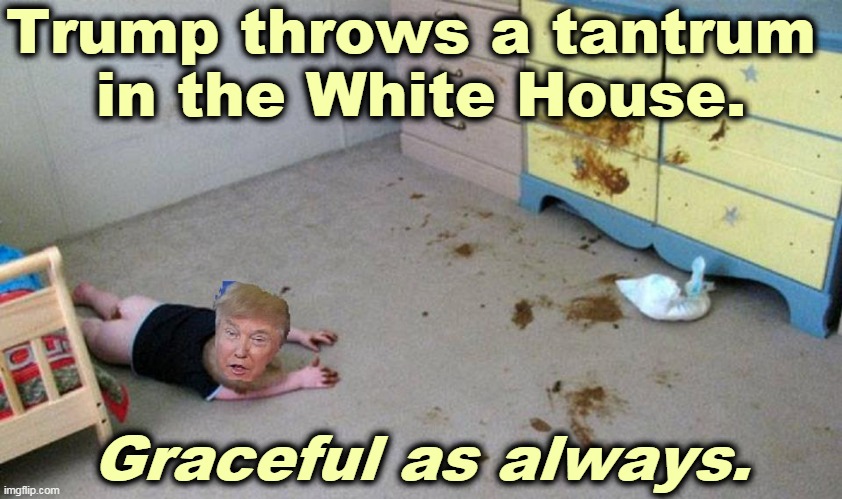 When Trump throws a fit, he throws a fit. | Trump throws a tantrum 
in the White House. Graceful as always. | image tagged in trump infant mess,trump,tantrum,angry baby,filthy | made w/ Imgflip meme maker