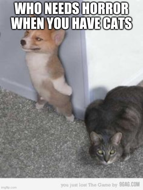 everyone i guess | WHO NEEDS HORROR WHEN YOU HAVE CATS | image tagged in scary cat | made w/ Imgflip meme maker