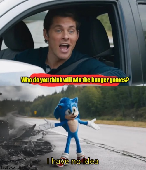 Sonic I have no idea | Who do you think will win the hunger games? | image tagged in sonic i have no idea | made w/ Imgflip meme maker