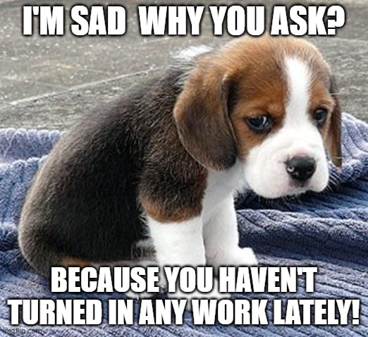 no work | I'M SAD  WHY YOU ASK? BECAUSE YOU HAVEN'T TURNED IN ANY WORK LATELY! | image tagged in sad puppy | made w/ Imgflip meme maker