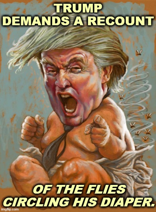 Infant Trump with full diaper | TRUMP DEMANDS A RECOUNT; OF THE FLIES CIRCLING HIS DIAPER. | image tagged in infant trump with full diaper,trump,recount,election,diaper | made w/ Imgflip meme maker