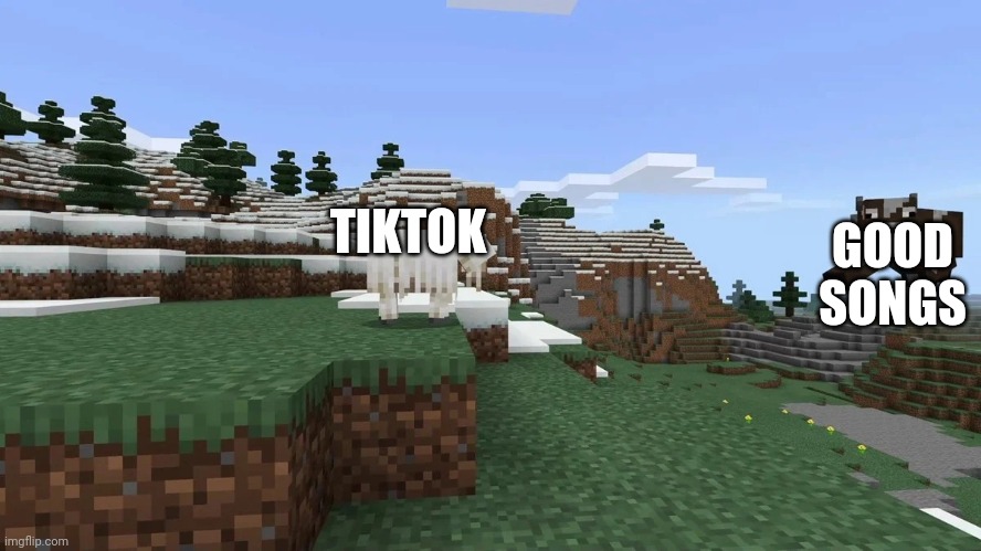 meme em imagem de minecraft｜Pesquisa do TikTok