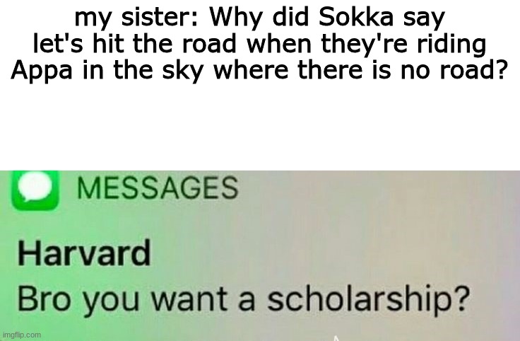 this happened when e & my sis were rewatching Avatar | my sister: Why did Sokka say let's hit the road when they're riding Appa in the sky where there is no road? | image tagged in harvard scholarship,avatar the last airbender,avatar | made w/ Imgflip meme maker