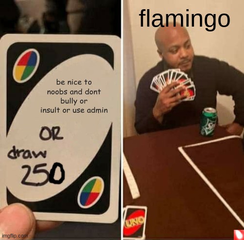 UNO Draw 25 Cards | flamingo; be nice to noobs and dont bully or insult or use admin | image tagged in memes,uno draw 25 cards | made w/ Imgflip meme maker