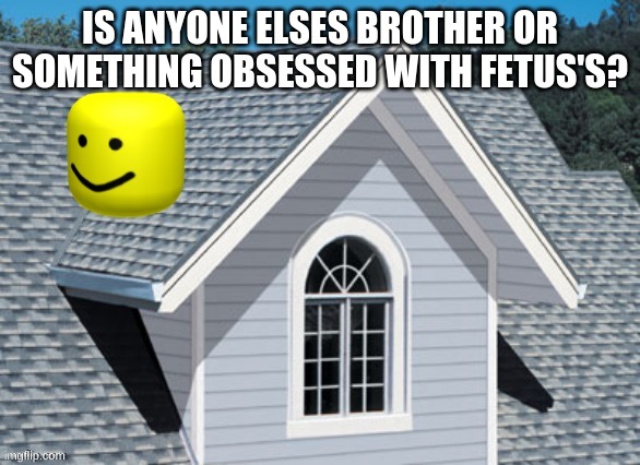 oof on a roof | IS ANYONE ELSES BROTHER OR SOMETHING OBSESSED WITH FETUS'S? | image tagged in oof on a roof | made w/ Imgflip meme maker