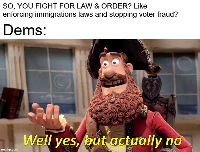 Well Yes, But Actually No Meme | SO, YOU FIGHT FOR LAW & ORDER? Like enforcing immigrations laws and stopping voter fraud? Dems: | image tagged in memes,well yes but actually no | made w/ Imgflip meme maker