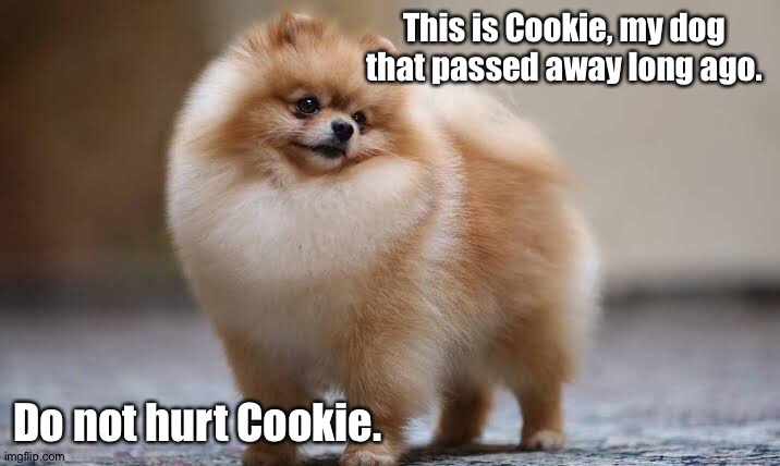 No, this isn't a picture of my dog. | This is Cookie, my dog that passed away long ago. Do not hurt Cookie. | made w/ Imgflip meme maker