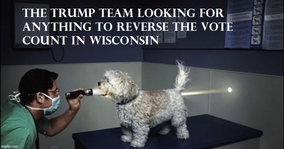 Wisconsin Vote Count | image tagged in donald trump approves,election 2020,president trump,eric trump,ivanka trump | made w/ Imgflip meme maker