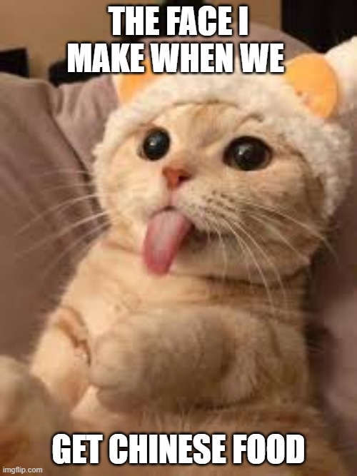 cat | THE FACE I MAKE WHEN WE; GET CHINESE FOOD | image tagged in cat | made w/ Imgflip meme maker