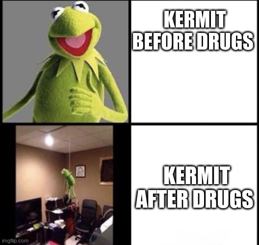 KERMIT BEFORE DRUGS KERMIT AFTER DRUGS | image tagged in invest in kermit | made w/ Imgflip meme maker