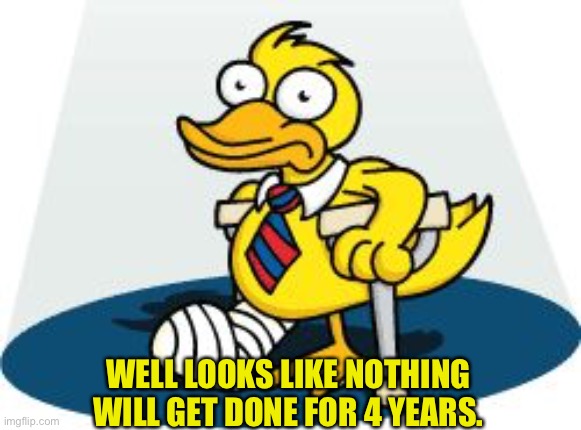 Lame Duck | WELL LOOKS LIKE NOTHING WILL GET DONE FOR 4 YEARS. | image tagged in lame duck | made w/ Imgflip meme maker