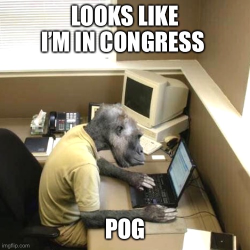 Pog Monke | LOOKS LIKE I’M IN CONGRESS; POG | image tagged in memes,monkey business,pog,congress | made w/ Imgflip meme maker