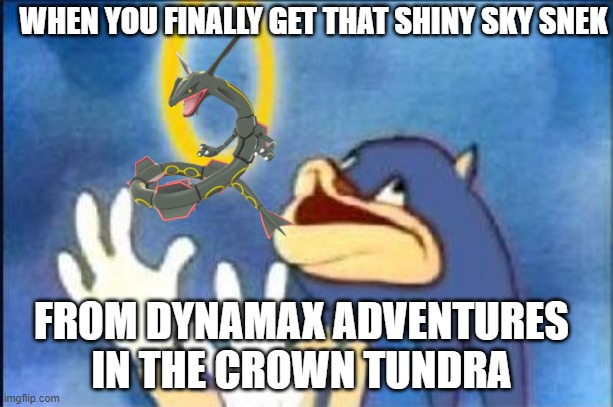 Sonic derp | WHEN YOU FINALLY GET THAT SHINY SKY SNEK; FROM DYNAMAX ADVENTURES IN THE CROWN TUNDRA | image tagged in sonic derp | made w/ Imgflip meme maker