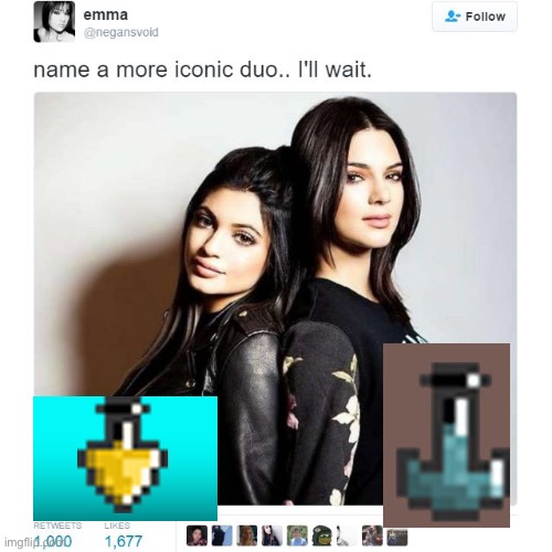terraria players know | image tagged in name a more iconic duo | made w/ Imgflip meme maker