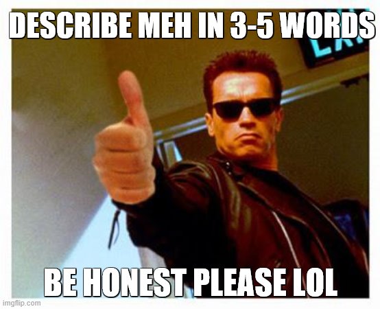 lol | DESCRIBE MEH IN 3-5 WORDS; BE HONEST PLEASE LOL | image tagged in terminator thumbs up | made w/ Imgflip meme maker