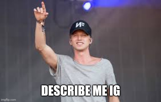 NF concert | DESCRIBE ME IG | image tagged in nf concert | made w/ Imgflip meme maker