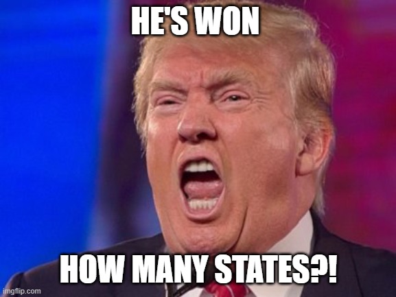 Angry Trump | HE'S WON; HOW MANY STATES?! | image tagged in angry trump,2020 elections,electoral college,true,joe biden | made w/ Imgflip meme maker