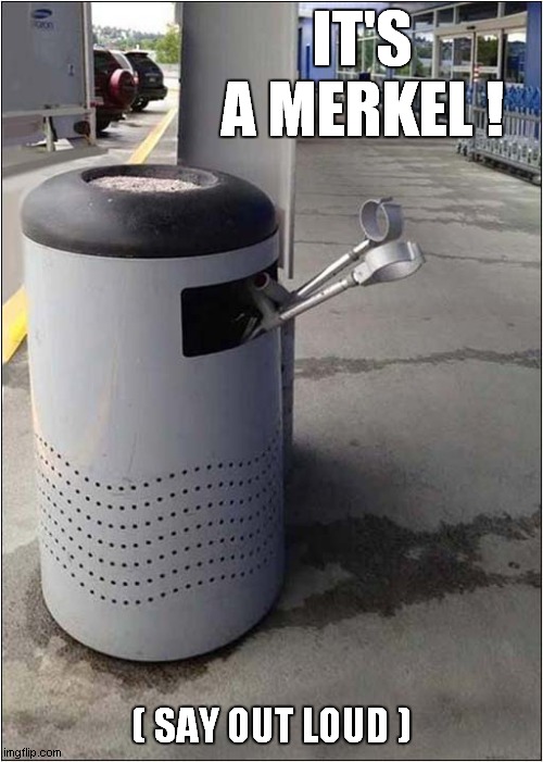 A 'Special' Place Indeed ! | IT'S A MERKEL ! ( SAY OUT LOUD ) | image tagged in fun,miracle | made w/ Imgflip meme maker