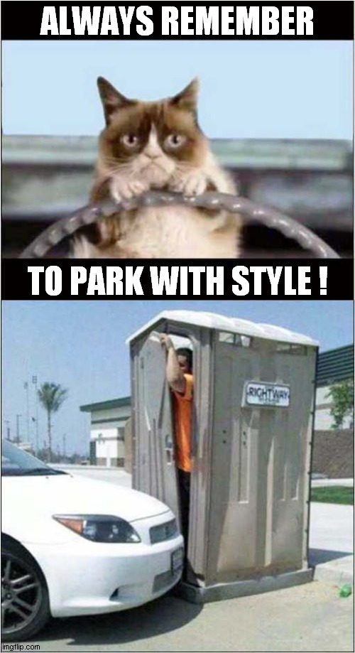 Grumpys Parking Pride ! | ALWAYS REMEMBER; TO PARK WITH STYLE ! | image tagged in grumpy cat,parking | made w/ Imgflip meme maker