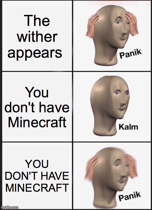 Panik Kalm Panik Meme | The wither appears; You don't have Minecraft; YOU DON'T HAVE MINECRAFT | image tagged in memes,panik kalm panik | made w/ Imgflip meme maker