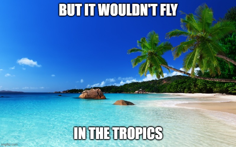 tropical island birthday | BUT IT WOULDN'T FLY IN THE TROPICS | image tagged in tropical island birthday | made w/ Imgflip meme maker