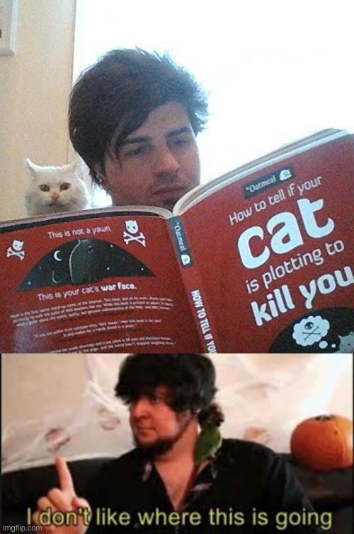 the cat kills | image tagged in i don't like were this is going | made w/ Imgflip meme maker
