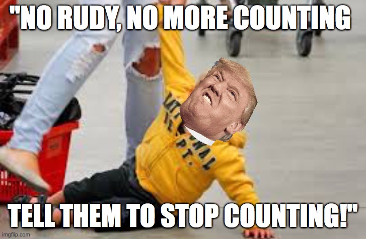 "Trump 2020" | "NO RUDY, NO MORE COUNTING; TELL THEM TO STOP COUNTING!" | image tagged in tantrum store,president trump,2020 elections,memes,rudy giuliani | made w/ Imgflip meme maker