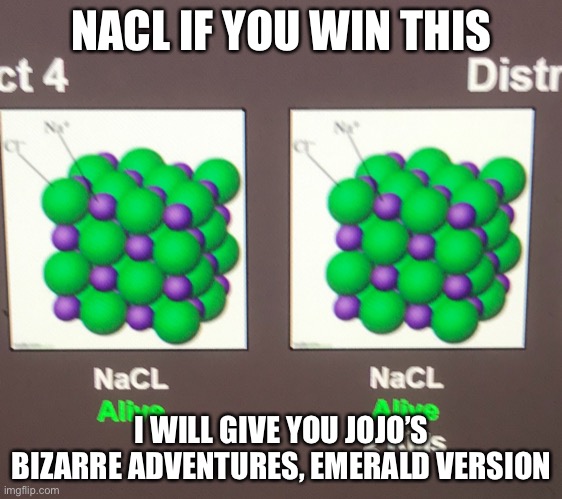 These are your last two teammates | NACL IF YOU WIN THIS; I WILL GIVE YOU JOJO’S BIZARRE ADVENTURES, EMERALD VERSION | made w/ Imgflip meme maker
