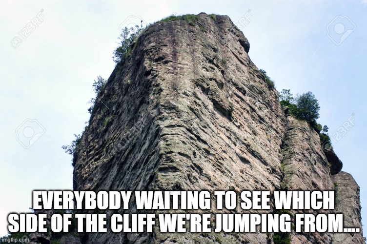 Cliff | EVERYBODY WAITING TO SEE WHICH SIDE OF THE CLIFF WE'RE JUMPING FROM.... | image tagged in election 2020 | made w/ Imgflip meme maker