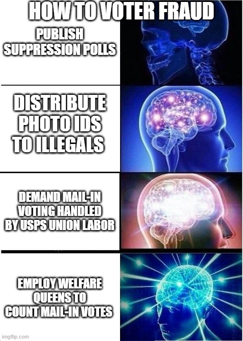 How to Voter Fraud | HOW TO VOTER FRAUD; PUBLISH SUPPRESSION POLLS; DISTRIBUTE PHOTO IDS TO ILLEGALS; DEMAND MAIL-IN VOTING HANDLED BY USPS UNION LABOR; EMPLOY WELFARE QUEENS TO COUNT MAIL-IN VOTES | image tagged in memes,expanding brain,voter fraud,election 2020 | made w/ Imgflip meme maker