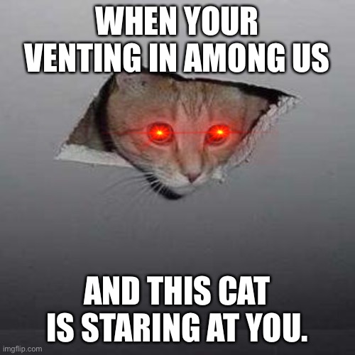Ceiling Cat | WHEN YOUR VENTING IN AMONG US; AND THIS CAT IS STARING AT YOU. | image tagged in memes,ceiling cat | made w/ Imgflip meme maker