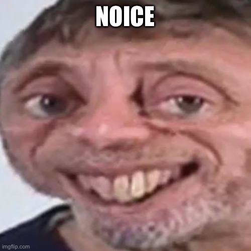 Noice | NOICE | image tagged in noice | made w/ Imgflip meme maker