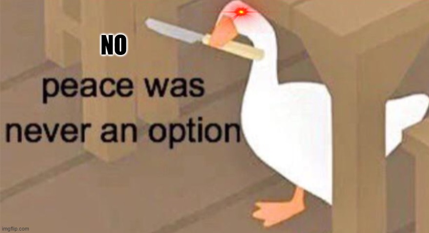 Untitled Goose Peace Was Never an Option | NO | image tagged in untitled goose peace was never an option | made w/ Imgflip meme maker