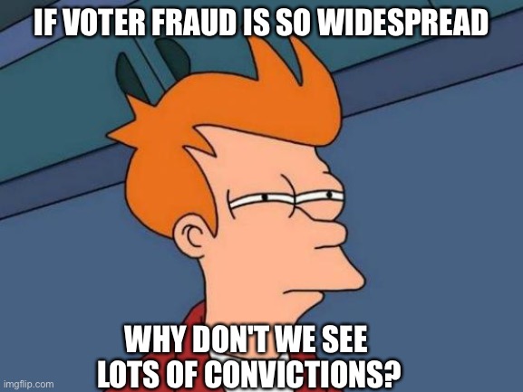 Yeah, why don't we? | IF VOTER FRAUD IS SO WIDESPREAD; WHY DON'T WE SEE 
LOTS OF CONVICTIONS? | image tagged in memes,futurama fry | made w/ Imgflip meme maker